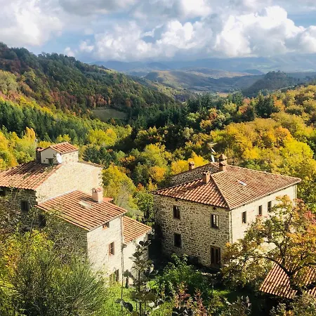Bio Il Vigno *