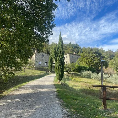 Bio Il Vigno *