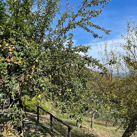 Landhaus Bio Il Vigno Caprese Michelangelo