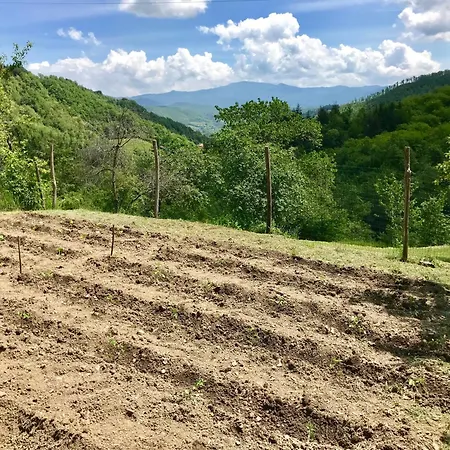 Landhaus Bio Il Vigno