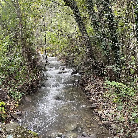 Bio Il Vigno *