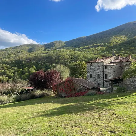 Bio Il Vigno
