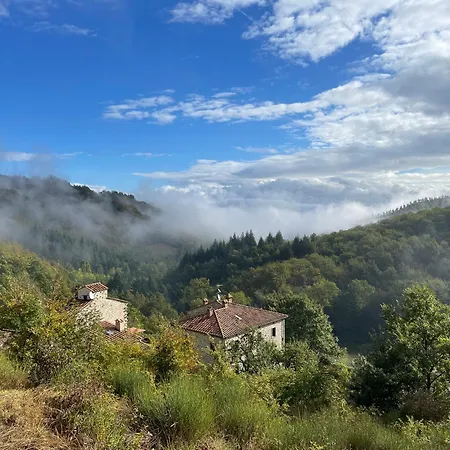 Bio Il Vigno