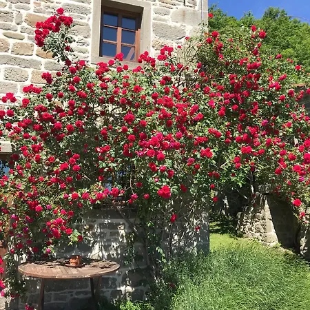 Landhaus Bio Il Vigno