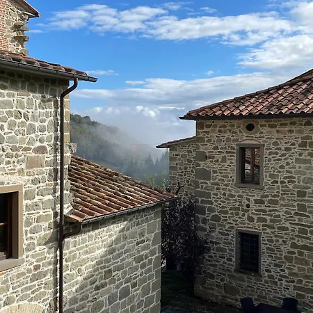 Bio Il Vigno * Caprese Michelangelo