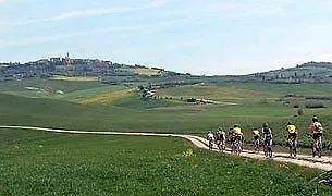 Bio Il Vigno Casa rural *