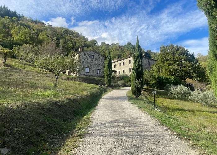 Bio Il Vigno - Pool Sauna Nature - Farm To Table Food - Wild Tuscan Countryside - Adults Only - Your Place To Breathe منزل ريفي *